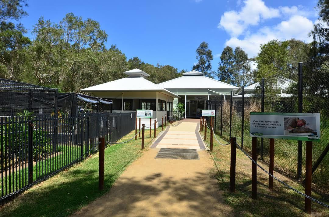 Currumbin Doğal Hayatı Koruma Alanı